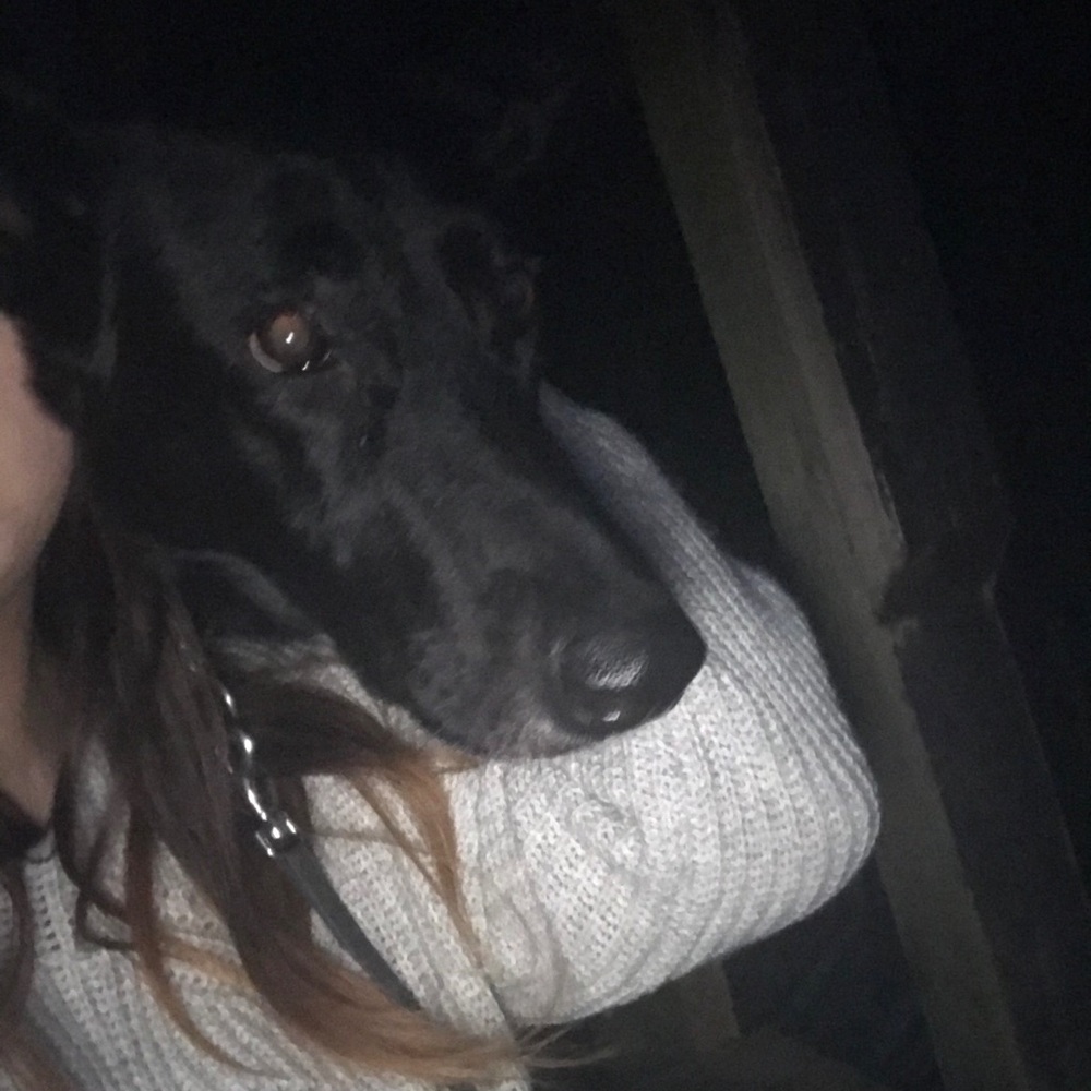 Meet your Posher, Jordyn